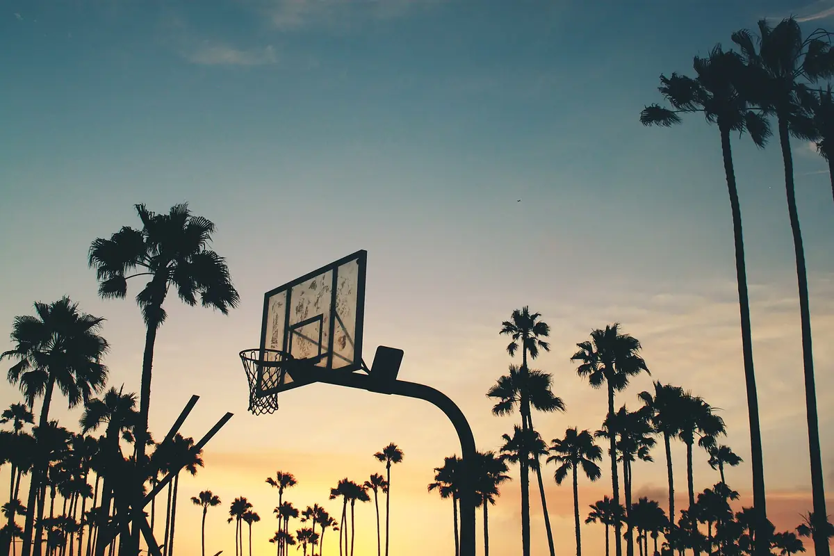 Silhueta de uma tabela de basquetebol ao fim da tarde, com palmeiras em contraluz